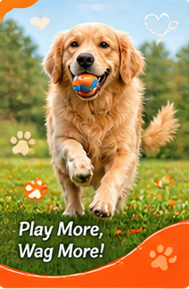 Dog Care